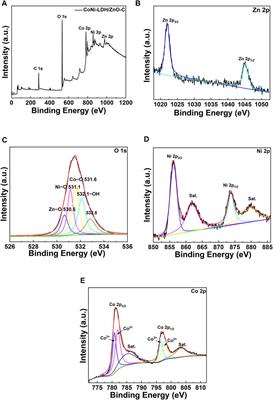 A Comparative Study of CoNi-LDH/ZnO Film for Photocathodic Protection Applications in the Marine Environment